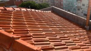 Limpeza de telhados com detergente biodegradável