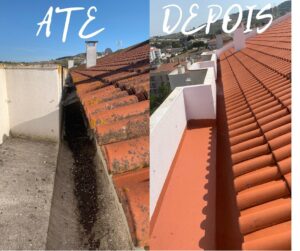 Limpeza de telhados com lixívia profissional