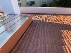 Limpeza de telhados com detergente biodegradável